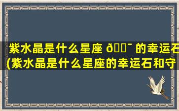 紫水晶是什么星座 🐯 的幸运石(紫水晶是什么星座的幸运石和守护 🍀 石)